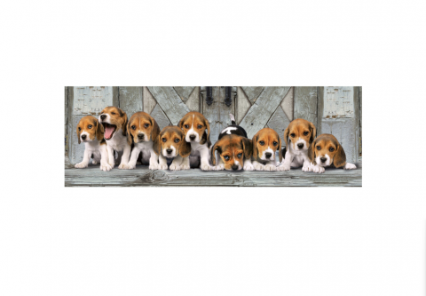 Puzzle Clementoni High Quality Collection, Panorama - Beagles, 1000 piese [1]