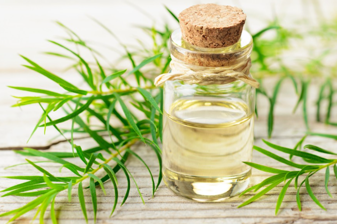 Tratament Natural Antiparazitar – Cum Scapi de Paraziți și Candida în Mod Natural