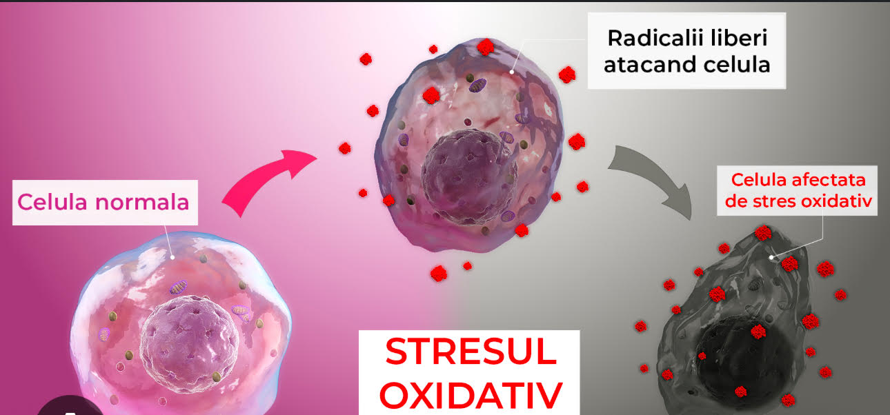 Microscopie pentru Stres Oxidativ