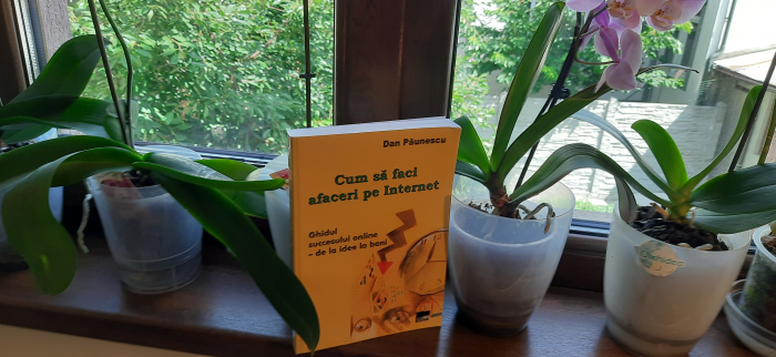 Ghidul Succesului Online, de la Idee la Bani (345 pagini, format tiparit) [3]
