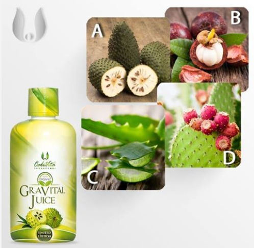 Gravital Pachet (3+1 Gratis) 4 x 946 ml– Sirop din patru super-fructe delicioase [3]