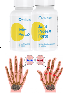 Joint ProteX Forte 90 tablete [3]