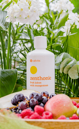 Preparate din plante medicinale - ZenThonic contine suc de mangostana si 8 super fructe