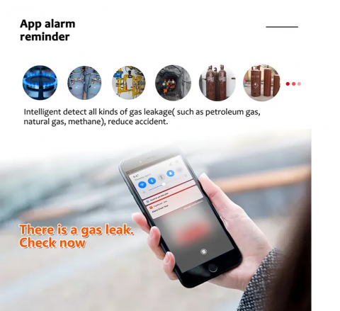 Senzor Gaz Wireless [4]