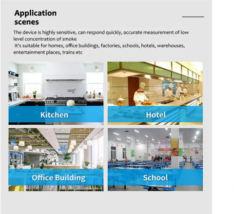 Senzor Gaz Wireless [3]