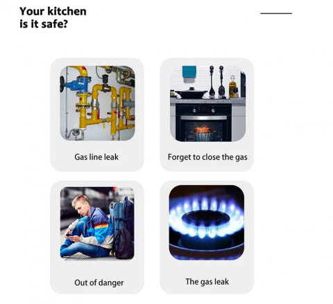 Senzor Gaz Wireless [2]