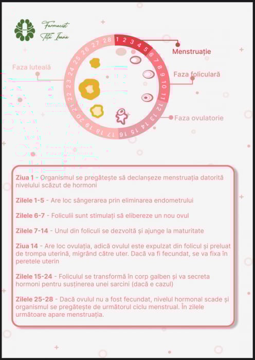 Menstruația și Contracepția [3]