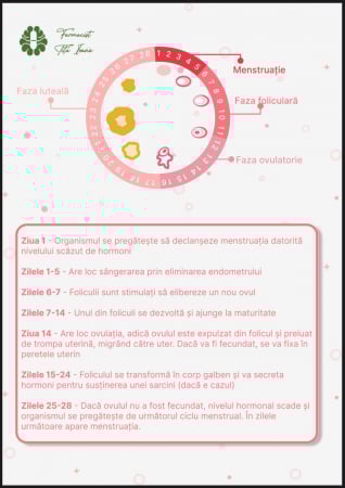 Menstruația și Contracepția [2]