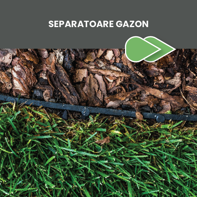 separatoare gazon