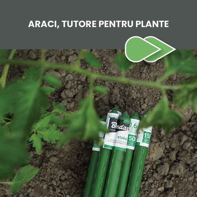 araci-tuture-pentru-plante