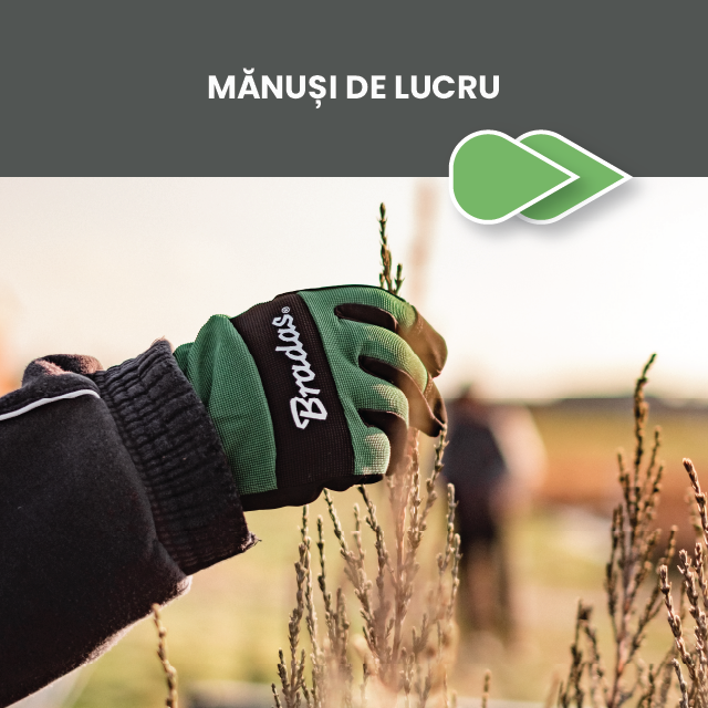 manusi de lucru
