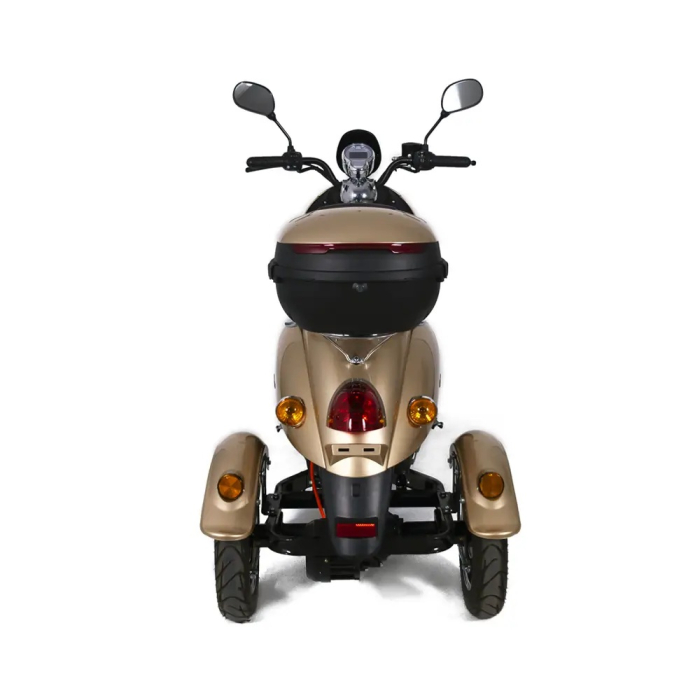 https://www.exemplusite.ro/images/triciclu-electric-explorer-1000w.jpg [3]