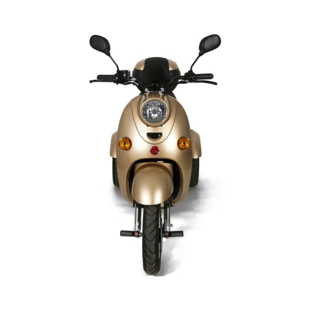 https://www.exemplusite.ro/images/triciclu-electric-explorer-1000w.jpg [3]