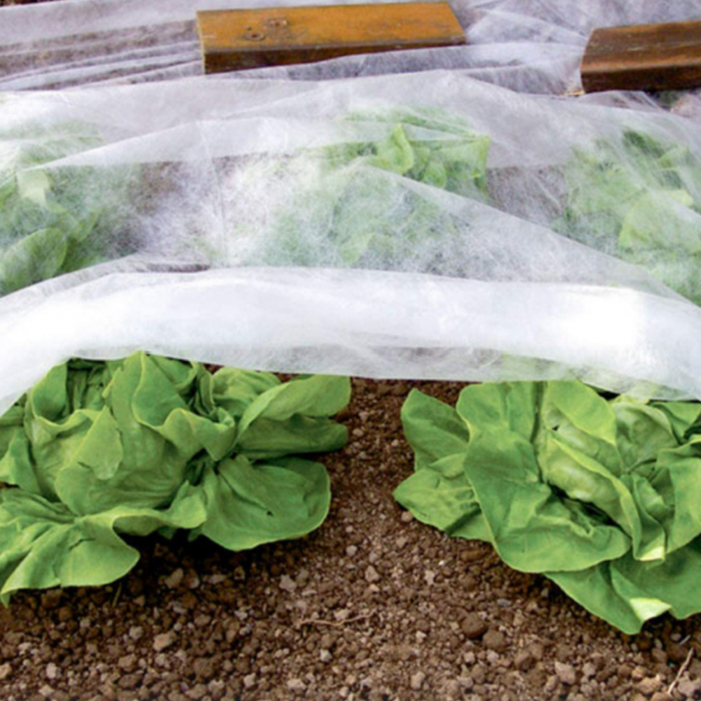 AGRIL 23 Gr/Mp 6,35 m x 100 m [2]