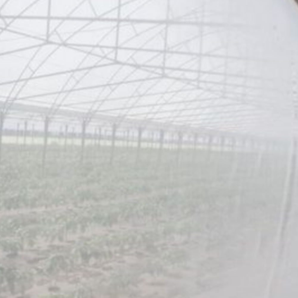 Plasă antiinsecte 2 x 100m [1]