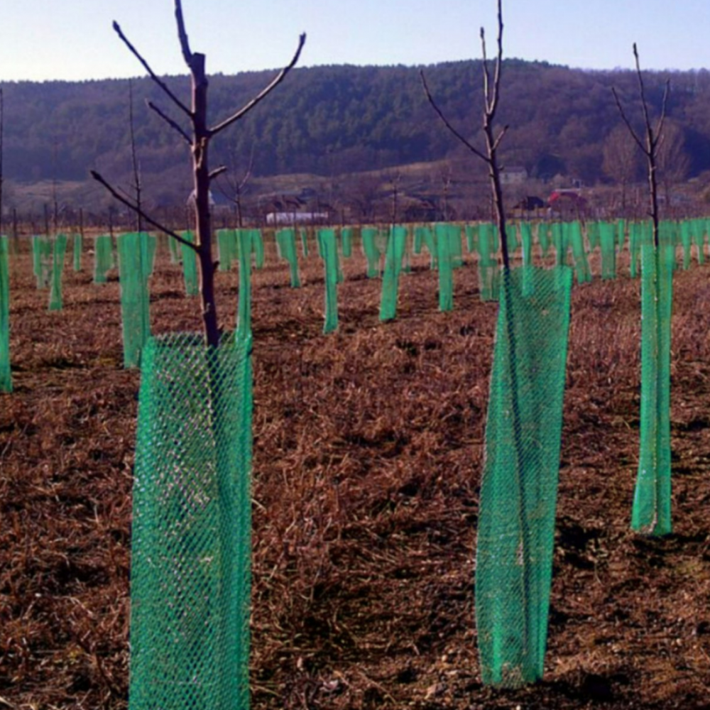 Plasă protecție pomișori Diametru 14 cm x 50 m [1]