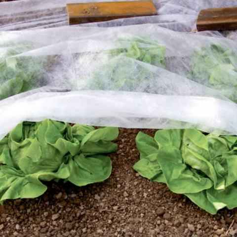 AGRIL 23 Gr/Mp 5,3 m x 100 m [1]