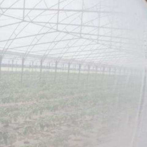Plasă antiinsecte - Plasă antiinsecte 2 x 100m