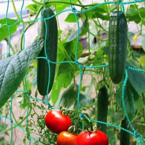 Plasă contra păsări - Plasă pentru plante 1,7 x 10m