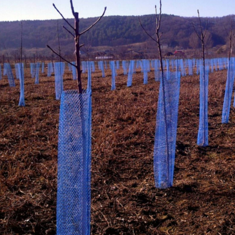 Grădină - Plasă protecție pomi 14 cm x 50 m - albastra