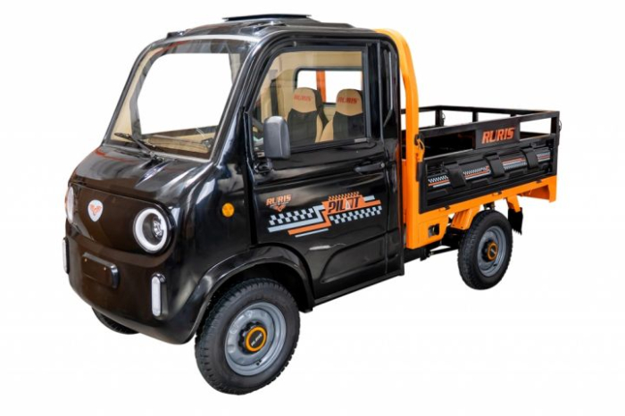 Camioneta electrica RURIS Pilot 5000N [1]