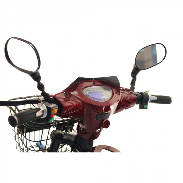 Scuter electric RDB Dunărea 450W [2]