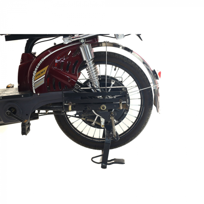 Scuter electric RDB Dunărea 450W [3]