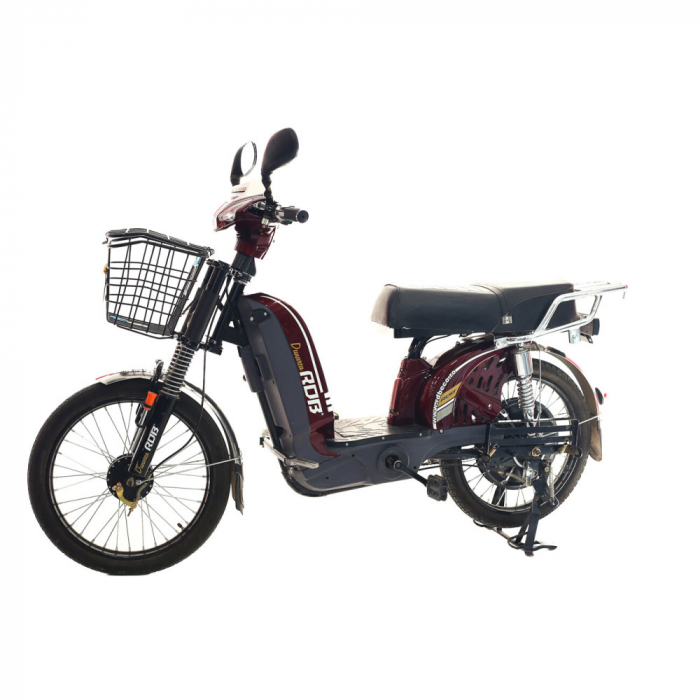 Scuter electric RDB Dunărea 450W [1]