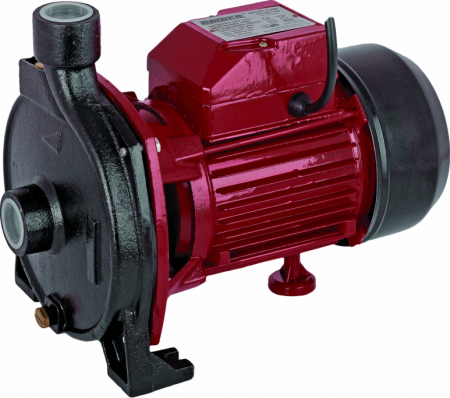 Pompe submersibile - Pompa de suprafata RAIDER RD-CPM158 070104, pentru aplicatii in agricultura, 750 W, inaltime refulare 28 m, debit maxim 96 l/min, carcasa fonta