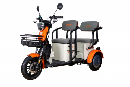 Scutere Electrice - Triciclu electric RURIS Pilot 3020A