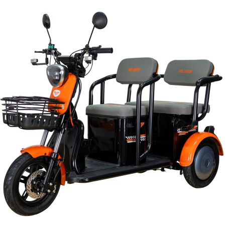 Scutere Electrice - Triciclu electric RURIS Pilot 3020N