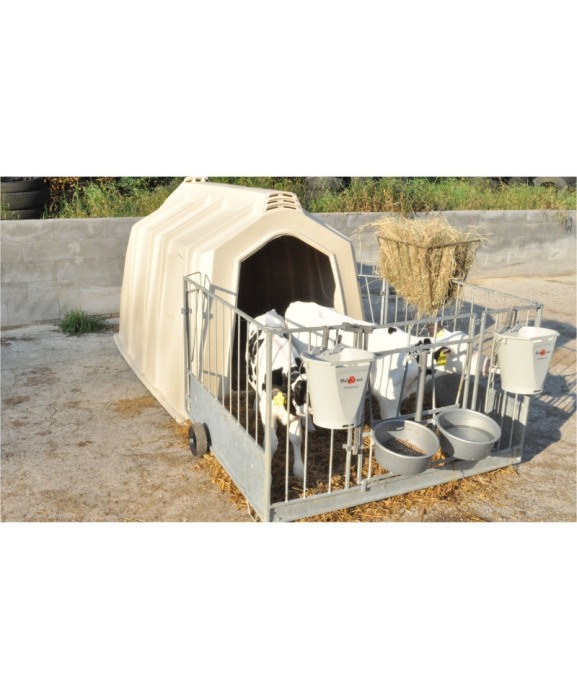 Boxa comuna pentru 2-3 vitei, Calf-Tel TwinHutch cu FlexyFence H&L [2]