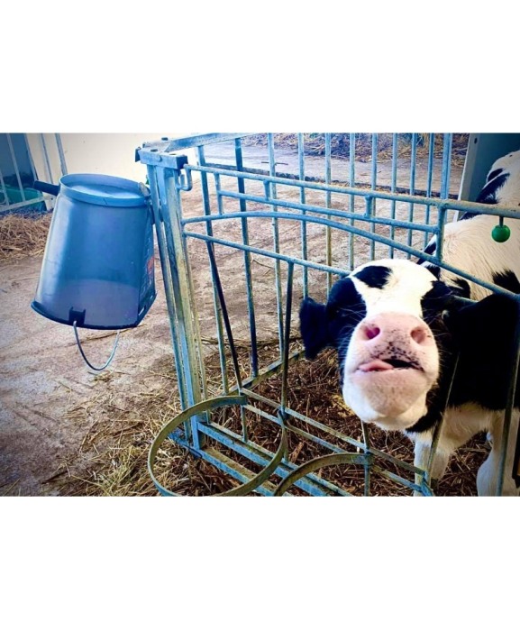 Galeata cu tetina pentru alaptarea viteilor, Milk Bar, 9l, semitransparenta, cu maner metalic [8]