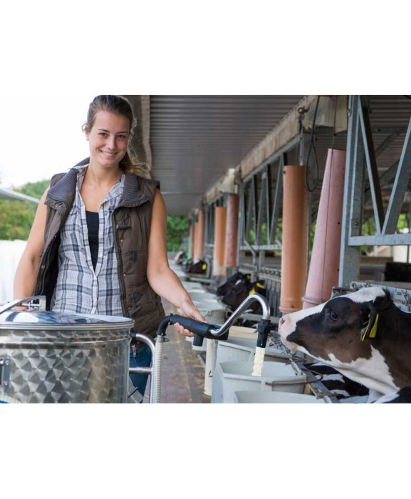Milk Taxi pentru hranirea inteligenta a viteilor, cu pasteurizare [4]
