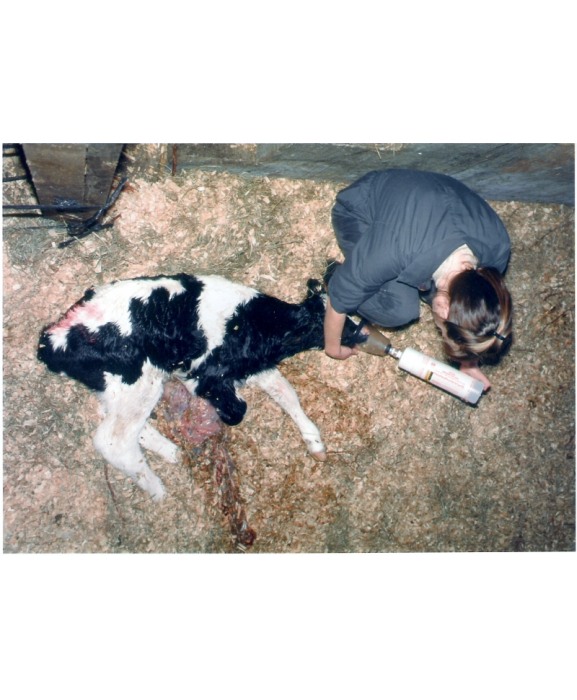 Resuscitator vitei, H&L CalfVital [5]