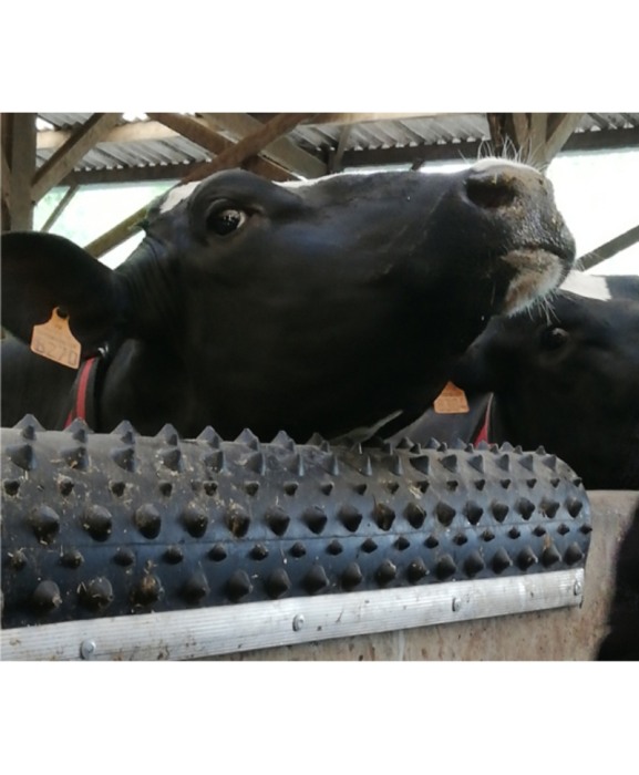 Scarpinatoare pentru vaci din cauciuc natural, Bioret Dairy Scratchy [3]