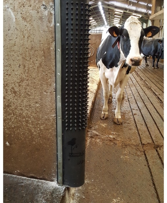 Scarpinatoare pentru vaci din cauciuc natural, Bioret Dairy Scratchy [2]