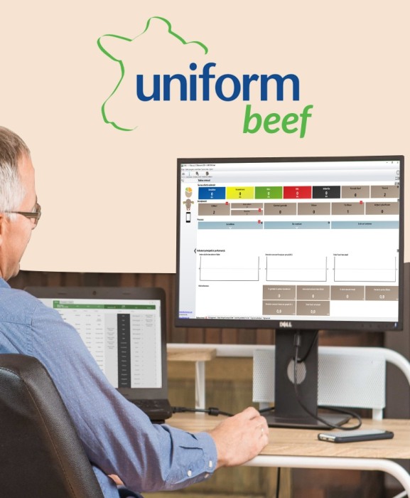 Sistem de management ferme vaci carne Uniform Beef [2]