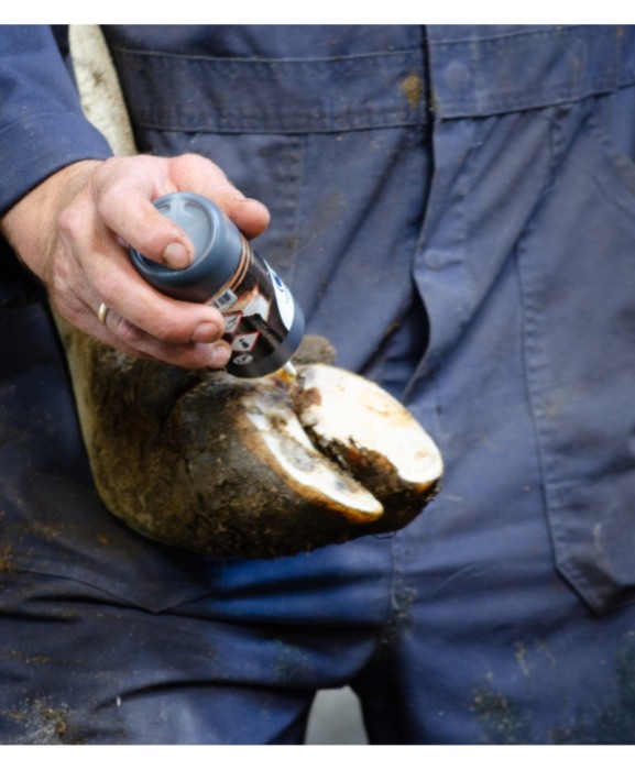 Solutie de curatare ongloane, Excellent Easysol, 250 ml [3]