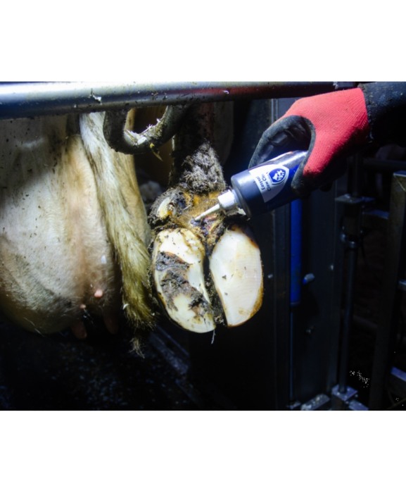 Solutie de curatare ongloane, Excellent Easysol, 250 ml [2]