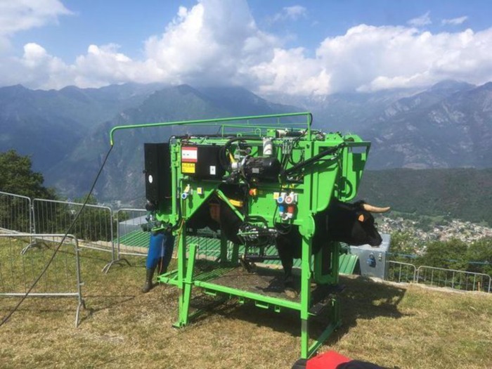 Stand trimaj ongloane vaci, model KVK 800-1, Heavy-Duty, complet automatizat [9]
