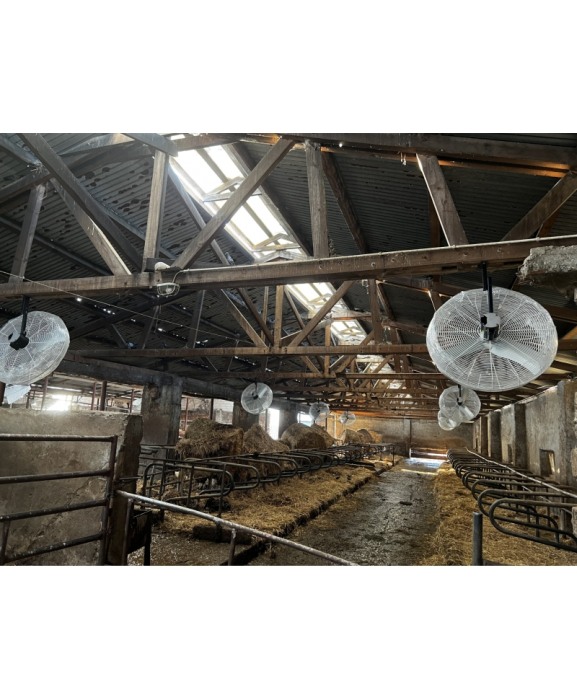 Ventilator VES-Artex Basket Fan 92 cm [4]