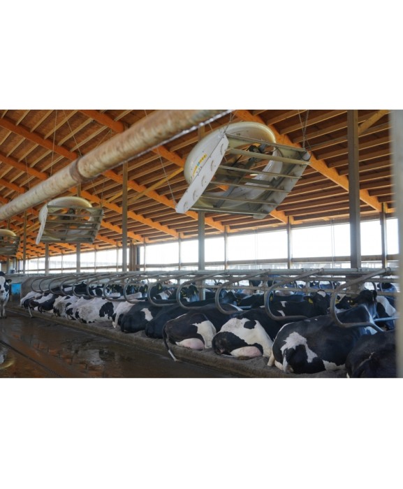 Ventilator VES-Artex ECVair 183 cm cu lame deflectoare ajustabile [3]