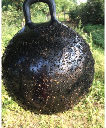 Capcana muste cai, Holland Animal Care [4]