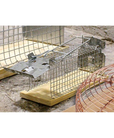 Cusca metalica clasica capturare soareci, Swissinno Mouse Cage Trap Classic [2]