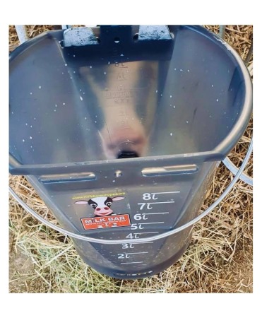 Galeata cu tetina pentru alaptarea viteilor, Milk Bar, 9l, semitransparenta, cu maner metalic [2]