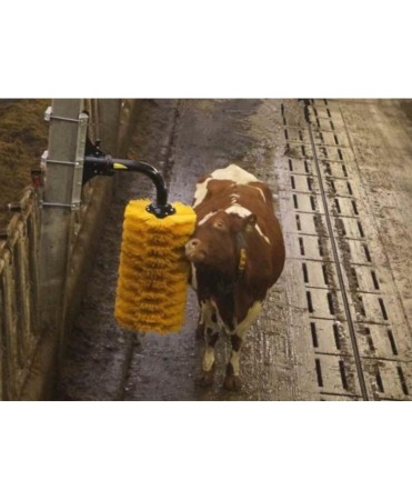 Perie scarpinat animale mecanica, oscilanta, EasySwing Maxi [11]