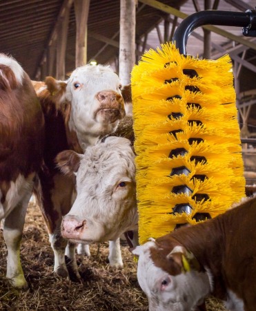 Perie scarpinat animale mecanica, oscilanta, EasySwing Maxi [0]