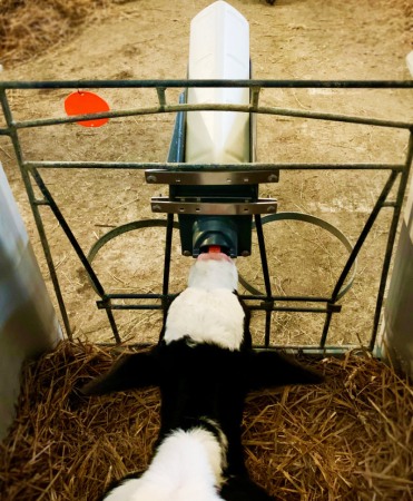 Sistem alaptare vitei Milk Bar Vitality, set 5 kituri complete [4]