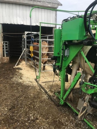 Stand trimaj ongloane vaci, model KVK 800-1, Heavy-Duty, complet automatizat [15]